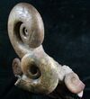 Lytoceras Ammonite Sculpture - Tall #7986-6